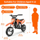 MileRocket 1 Electric Bike
