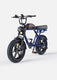 M1 Motorcycle-styled Electric Bike